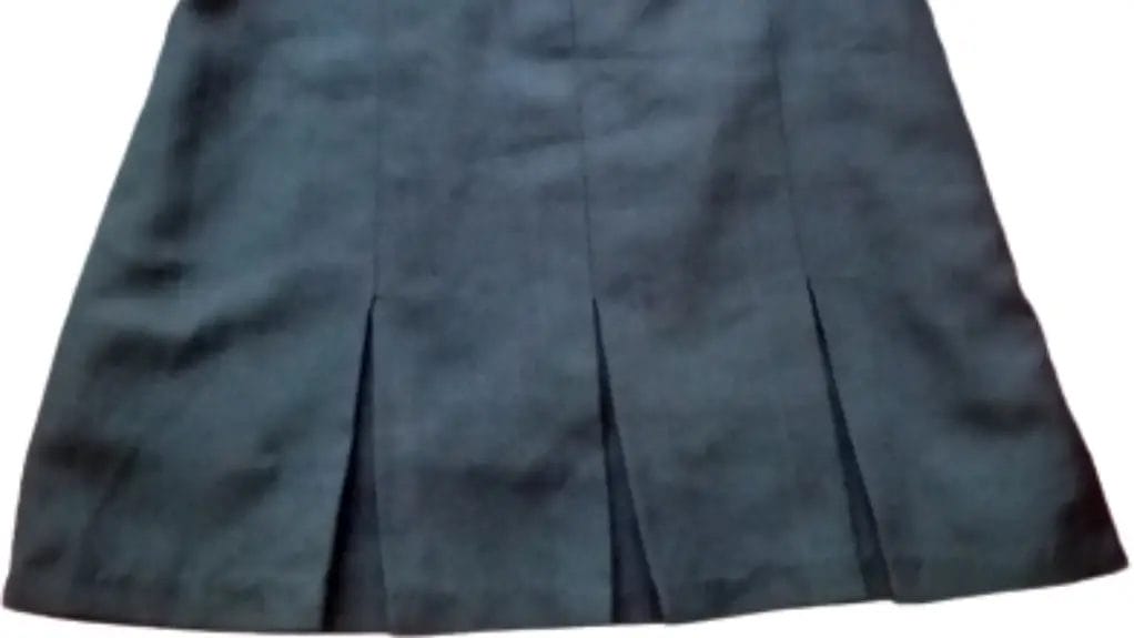 Pleats in Clothing