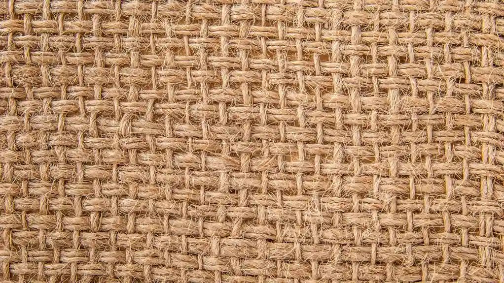 Tissu canvas définition