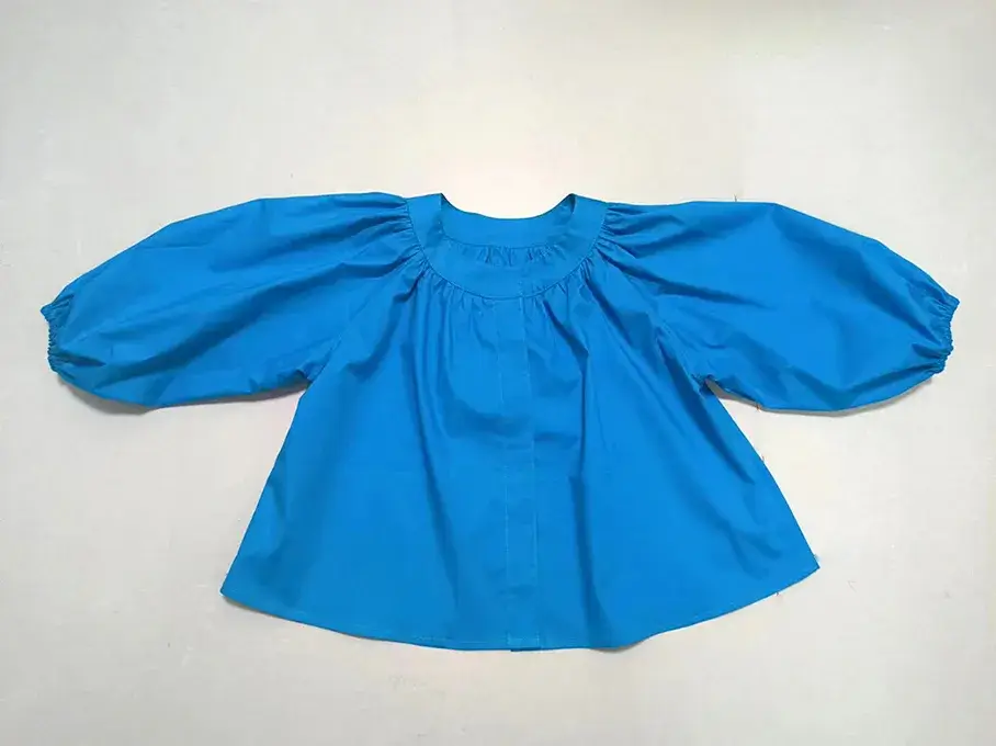 Smocked Crewneck Raglan Sleeve Blouse